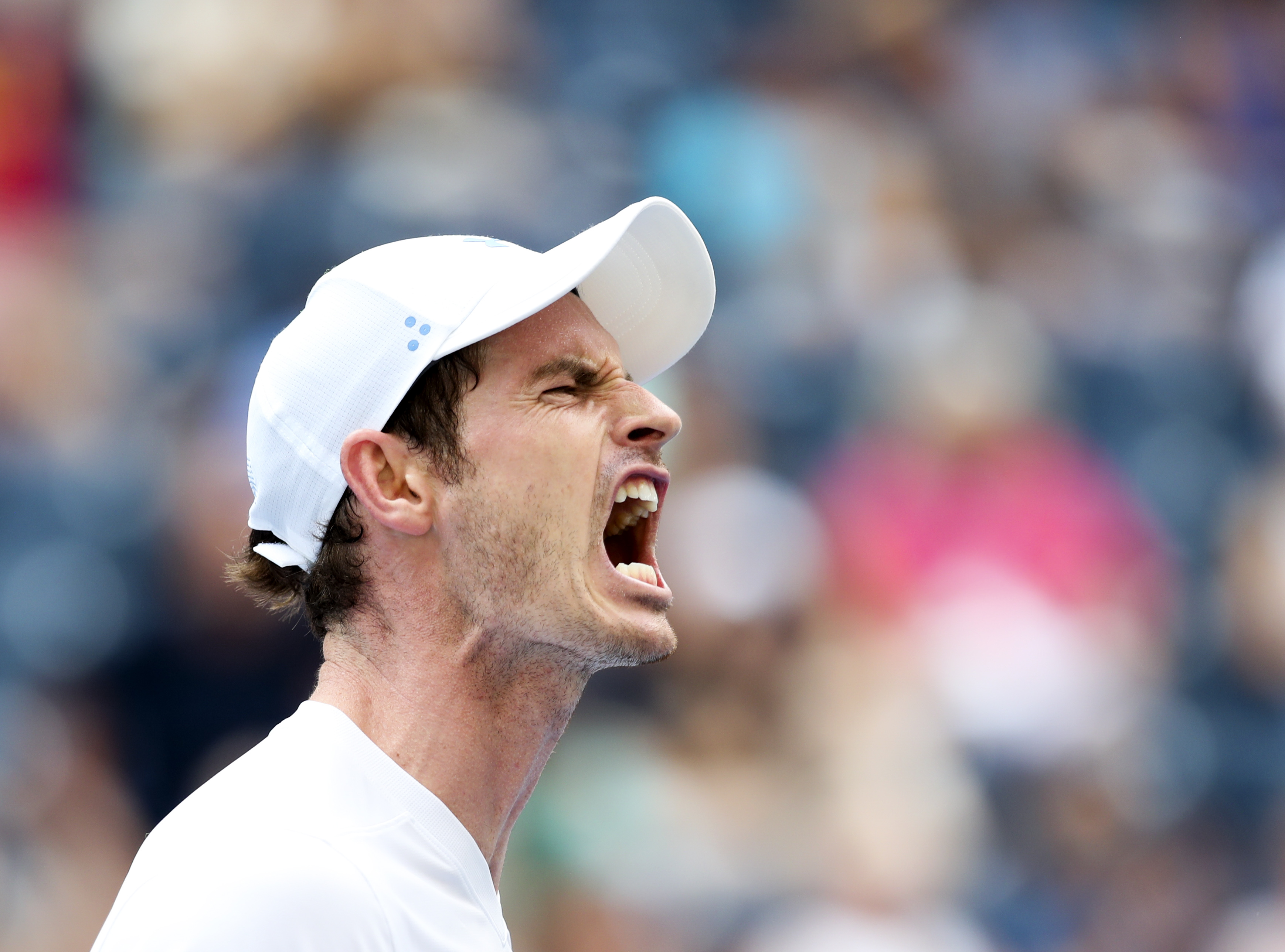 ng28-关于穆雷迎来二十赛季高光表现,MAD球迷沸腾!的信息